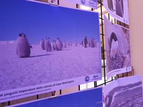 Pannelli su Antartide presso Università di Siena in occasione del Bright Night 2020